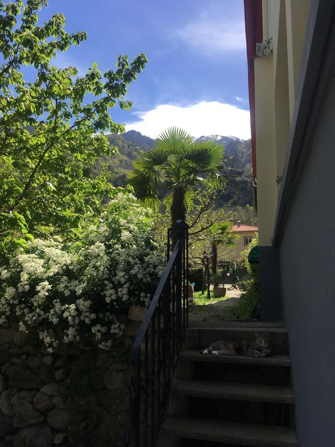 La Mirabelle-Casteil Country House Guest House Bagian luar foto