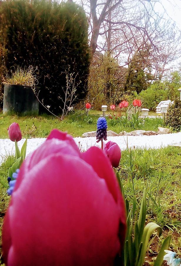 La Mirabelle-Casteil Country House Guest House Bagian luar foto