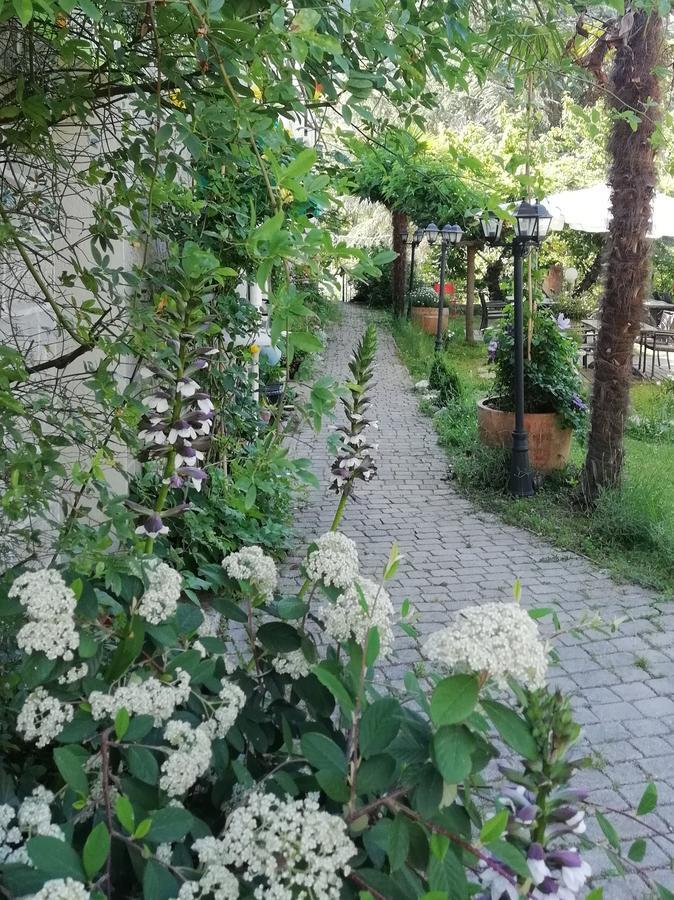 La Mirabelle-Casteil Country House Guest House Bagian luar foto