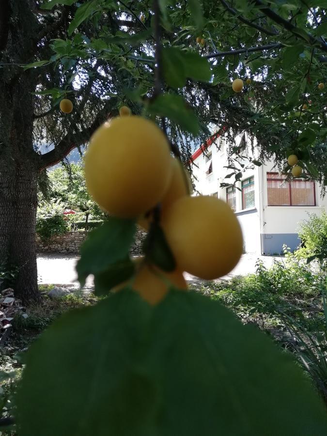 La Mirabelle-Casteil Country House Guest House Bagian luar foto
