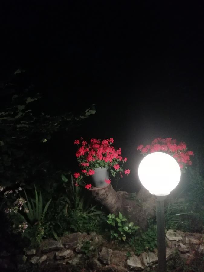 La Mirabelle-Casteil Country House Guest House Bagian luar foto