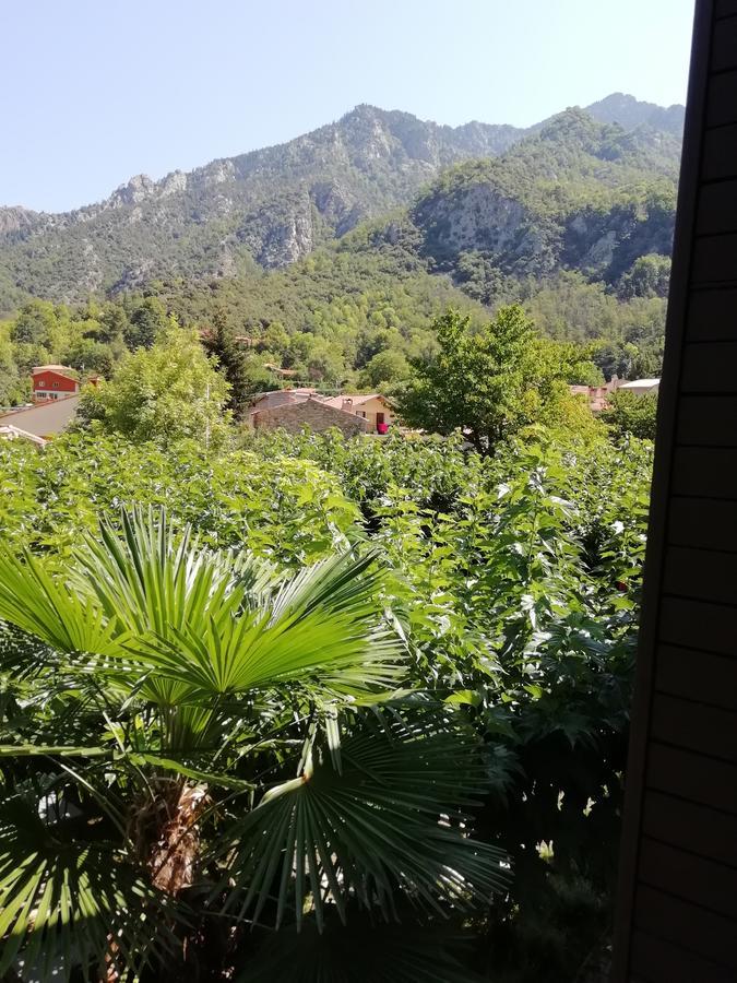 La Mirabelle-Casteil Country House Guest House Bagian luar foto